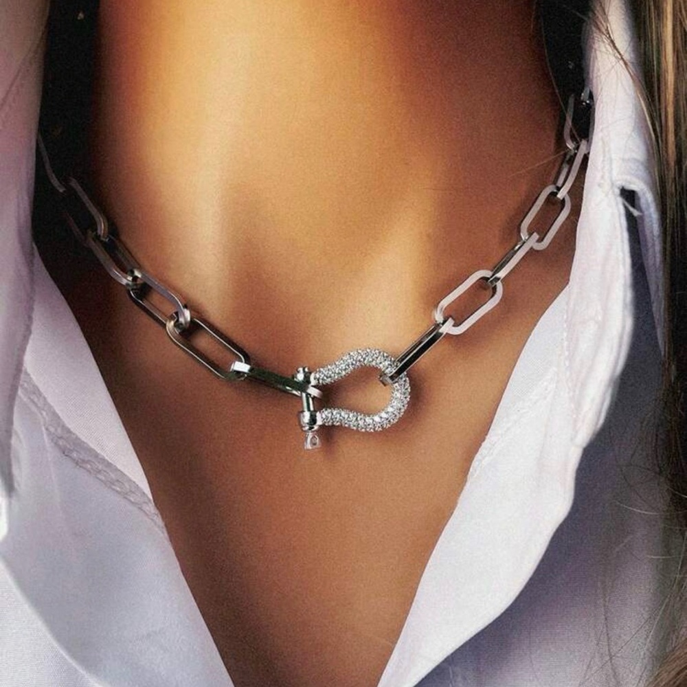 Silver Chain and Silver Rhinestone Horseshoe Necklace